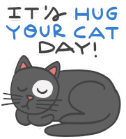 Hug Your Cat Day Its Hug Your Cat Day Sticker - Hug Your Cat Day Its Hug Your Cat Day Cat Hug Day Stickers