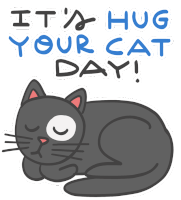 Hug Your Cat Day Its Hug Your Cat Day Sticker