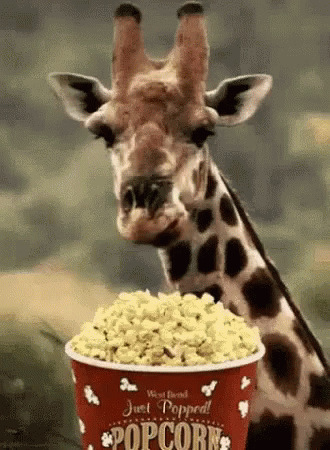 popcorn-giraffe