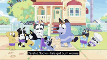 Bluey Bandit Bum Worms GIF - Bluey Bandit Bum Worms Socks GIFs