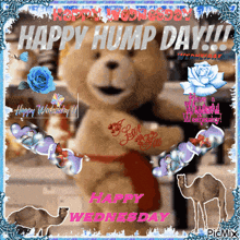a picture of a teddy bear with the words happy hump day on it