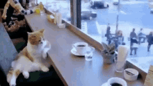 GIF
