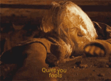 Quiet You Fools Lotr GIF - Quiet You Fools Lotr Gandalf GIFs