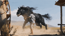 The Last Dance Xenophage GIF - The Last Dance Xenophage Horse GIFs
