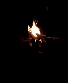 bonfire fire campfire flame burn