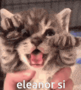 a person is holding a kitten with its mouth open and the words eleanor si written on the bottom .