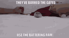 Battering Ram Hamster GIF - Battering Ram Hamster Hamter GIFs