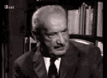 Heidegger Martin Heidegger GIF - Heidegger Martin Heidegger Smiling GIFs