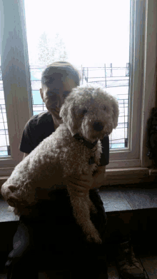 Rossi The Dog Dog GIF - Rossi The Dog Dog Pet GIFs