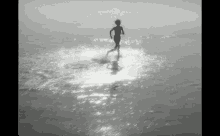 Tarkovsky Running GIF - Tarkovsky Running Beach GIFs