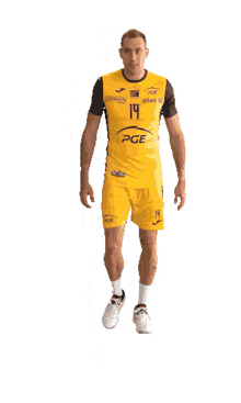 pge skra be%C5%82chat%C3%B3w belchatow volleyball