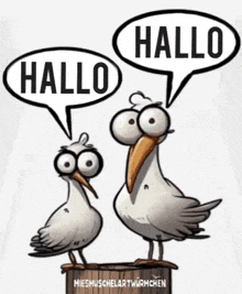 two seagulls are standing next to each other with speech bubbles saying hallo