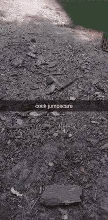 jumpscare cock