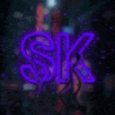 Sk Discord GIF