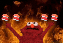 Elmo Fire Sushi GIF - Elmo Fire Sushi GIFs