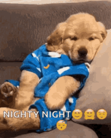 Puppy Adogable GIF - Puppy Adogable Nighty GIFs