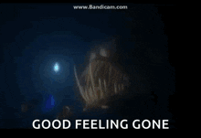 a picture of a fish in the ocean with the words good feeling gone