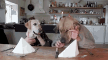 Excuse Me, Waiter! GIF - Animals Dogs Dinner GIFs