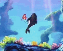 Ariel Little Mermaid GIF - Ariel Little Mermaid Whale GIFs