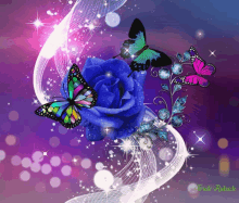 Butterflies Gif Butterflies And Roses Gif GIF - Butterflies Gif Butterflies And Roses Gif GIFs