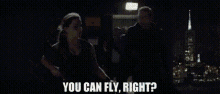 Terminator Sarah Connor GIF - Terminator Sarah Connor You Can Fly Right GIFs
