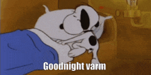 Goodnight Varm Awaken GIF - Goodnight Varm Goodnight Awaken GIFs