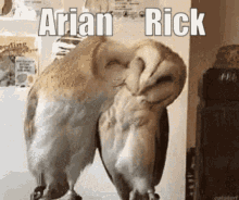 kiss arian rick cuddle birds