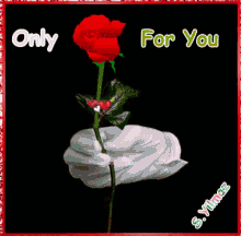 Only For You GIF - Only For You GIFs