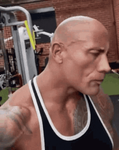 Dwayne The Rock Johnson eyebrow raise meme | Postcard