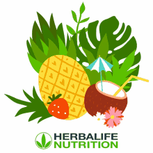herbalife nutrition