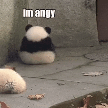 a panda bear is sitting on the ground looking at something .