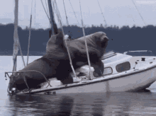 GIF
