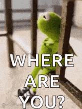 kermit the frog is sitting on a railing looking out a window and asking where are you ?