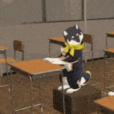 a black and white dog wearing a yellow scarf stands on its hind legs