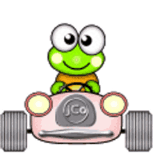 racing car frog car driving