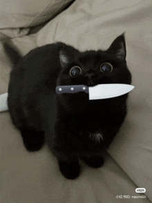 a black cat is holding a knife in its mouth with chinese writing on the bottom