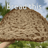 Bread This GIF - Bread This GIFs