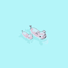 Piggy Swimmimg GIF