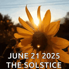 a sunflower with the words june 21 2025 the solstice