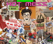 a collage of pictures with the words hot mess and ugly bugs on it