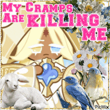 a picture of a sheep and two birds with the words my cramps are killing me