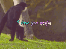 Gofe I Love You Gofe GIF - Gofe I Love You Gofe GIFs