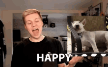 Happy Dogs Name GIF - Happy Dogs Name Bull Terrier GIFs