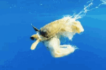 Pollution Water GIF