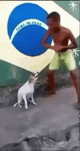 dog-dancing-brazil-dog.gif