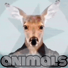 Animals Anifam GIF - Animals Anifam Famani GIFs