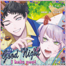 a picture of two anime characters with the words good night i hate you on it