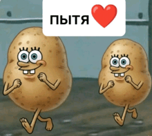 two cartoon potatoes are standing next to each other with a heart above them that says ' pytja '