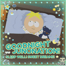 a picture of a cartoon character sleeping with the words goodnight junonation