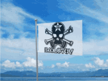 the molotov flag pirate flag